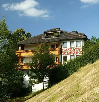 Schwarz فندق 3*